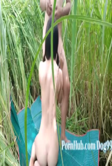 ปูเสื่อเย็ดกันในนาข้าว คลิปโป๊เอ้าดอร์ไทย